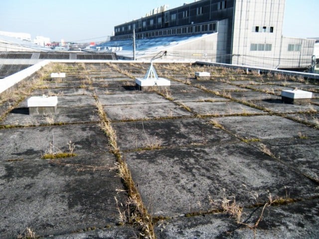 大和市マンションの屋上防水工事施工前